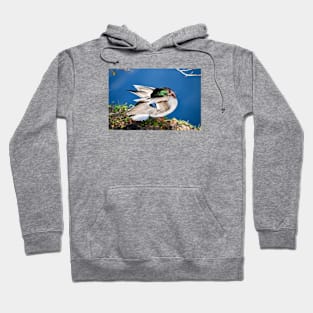 Duck / Swiss Artwork Photography Hoodie